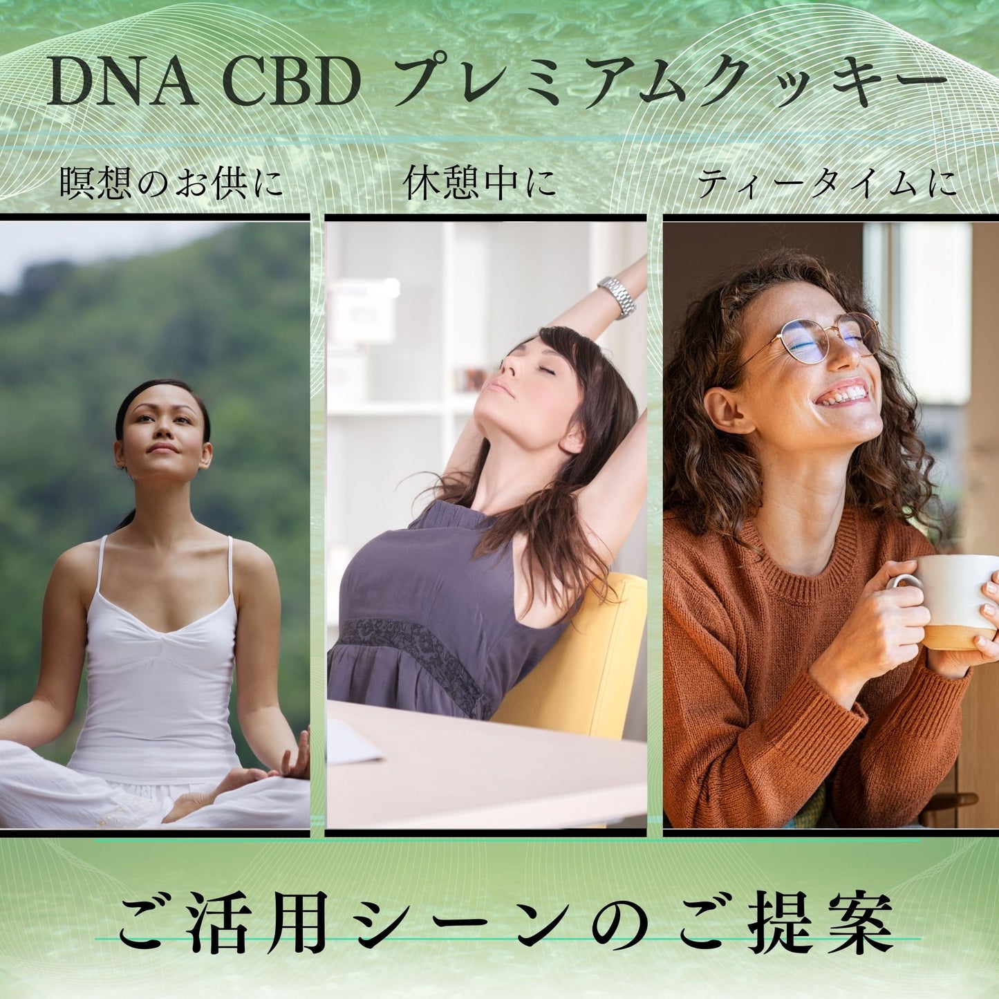 CBDクッキー 5枚入 TOTALCBD1000mg CBG250mg CBN250mg チョコ味