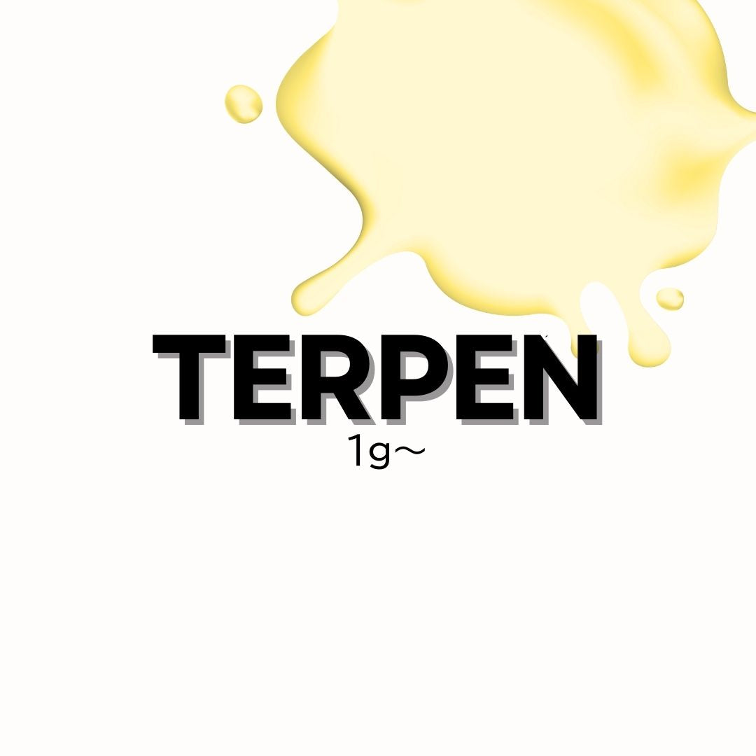 Terpen　1g〜